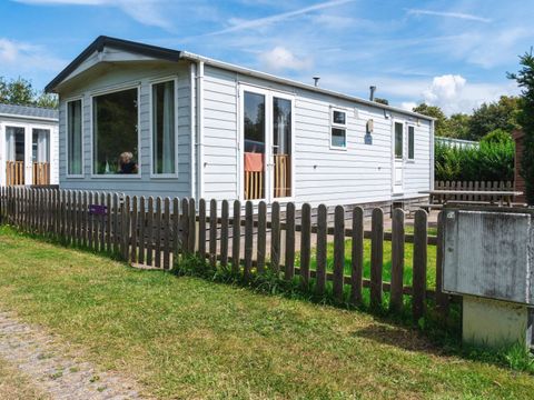 Vakantiepark de Nollen - Camping Schagen - Image N°33