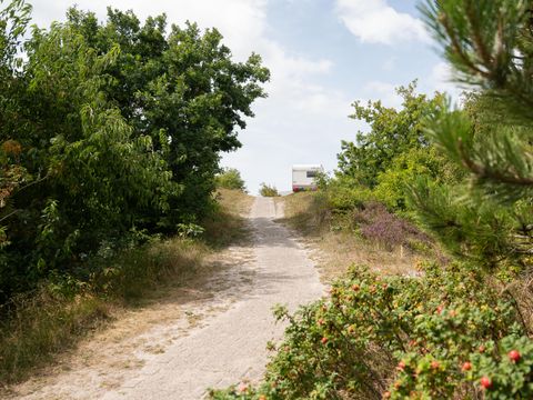 Duincamping de Lepelaar - Camping Schagen - Image N°26