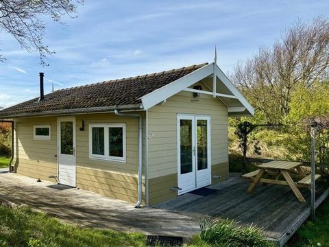 Duincamping de Lepelaar - Camping Schagen - Image N°18