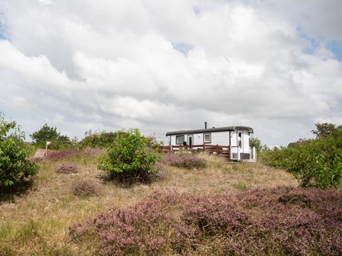 Duincamping de Lepelaar - Camping Schagen - Image N°21