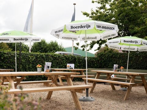 Duincamping de Lepelaar - Camping Schagen - Image N°14