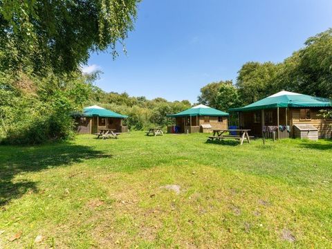 Duincamping de Lepelaar - Camping Schagen - Image N°24
