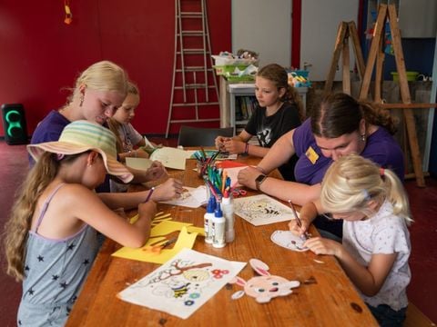 Duincamping de Lepelaar - Camping Schagen - Afbeelding N°2