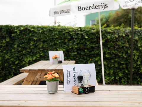 Duincamping de Lepelaar - Camping Schagen - Image N°13