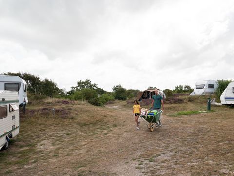 Duincamping de Lepelaar - Camping Schagen - Image N°25