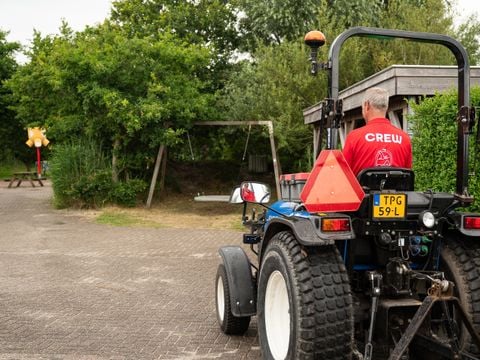 Duincamping de Lepelaar - Camping Schagen - Afbeelding N°4