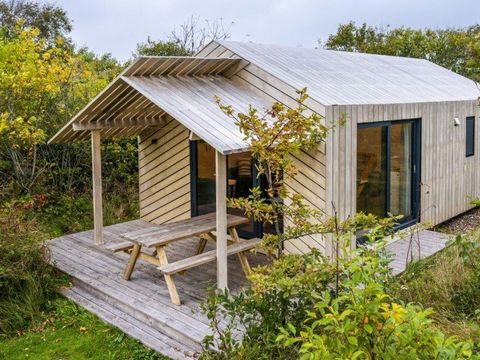 Duincamping de Lepelaar - Camping Schagen - Image N°20