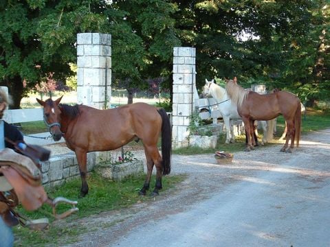 Camping Brantôme Far Ouest - Camping Dordogne - Image N°3