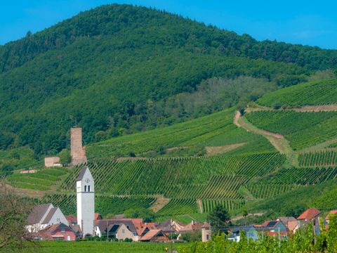 Résidence Goélia - Le Domaine Du Golf - Camping Haut-Rhin - Image N°22