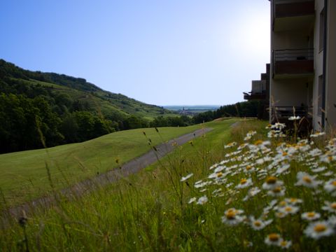 Résidence Goélia - Le Domaine Du Golf - Camping Haut-Rhin - Image N°27