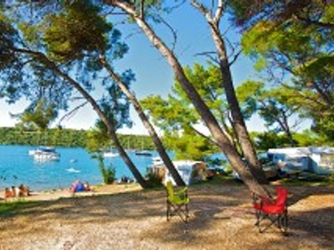 Arena Indije Mobile Homes - Camping Istrie - Image N°11