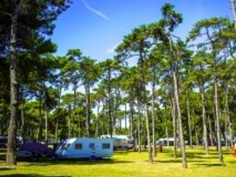 Arena Medulin Mobile Homes - Camping Istrie - Image N°18
