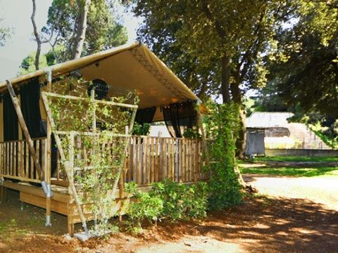 Arena Stupice Camping Homes - Camping Istrie - Image N°13