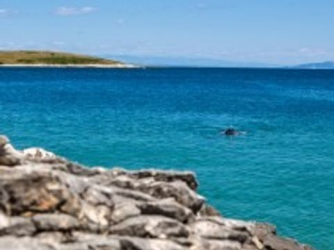 Arena Stupice Camping Homes - Camping Istrie - Image N°21