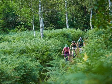 Glamping Kolpa Resort - Camping Split-Dalmatien - Image N°16