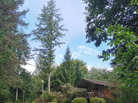 CHALET 5 personnes - Chalet Bungalow en Bois sur pilotis