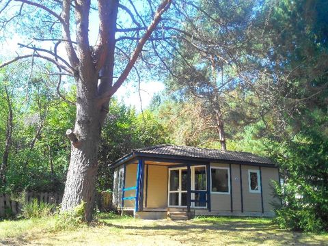 CHALET 5 personnes - Bungalow Spacieux