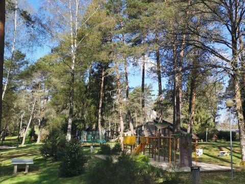 Camping Les Sapins de Corrèze - Camping Doubs - Image N°3