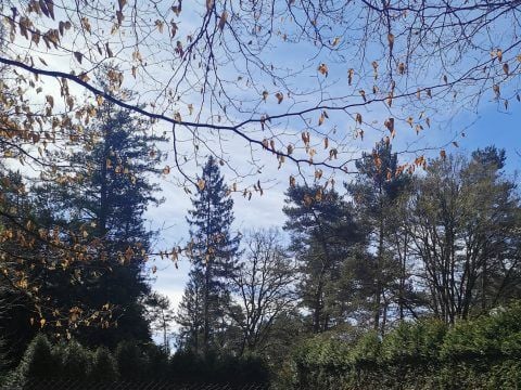 Camping Les Sapins de Corrèze - Camping Doubs - Image N°4