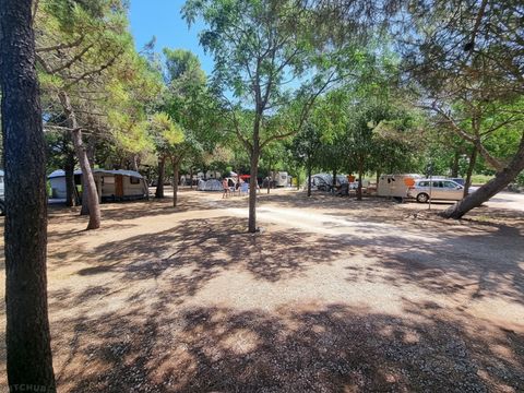 Autocamp Peros - Camping Zadar - Image N°3