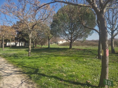 Autocamp Peros - Camping Zadar - Image N°15