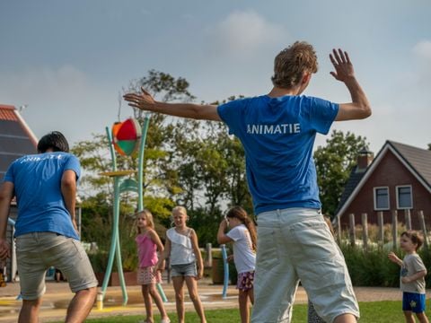 Siblu Camping Duinzicht - Camping Veere - Image N°3