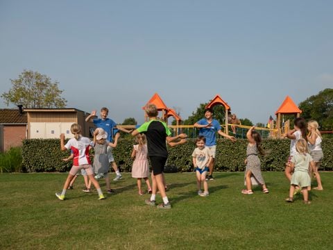Camping Duinzicht - Camping Veere - Afbeelding N°5