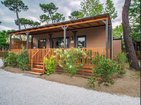 LODGE 4 personnes - Lodge Elite - Animax pas admis