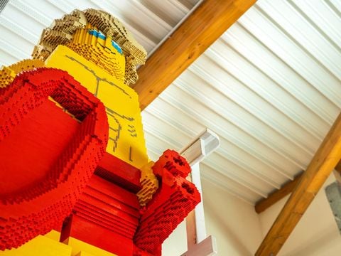 Tour Opérateurs et particuliers sur Camping les Genêts - Camping Vendée