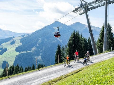 product_property.services