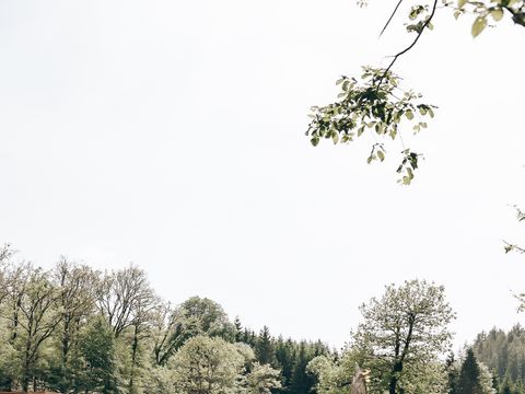 LODGE 5 personnes - Ecolodge l 2 Chambres | Animaux bienvenus