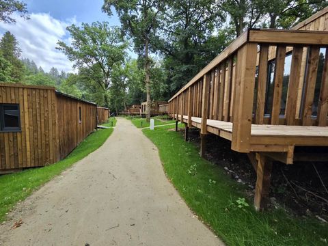 LODGE 2 personnes - Cocoon de la Semois | Animaux acceptés