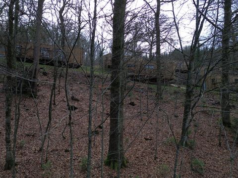 LODGE 6 personnes - Ecolodge | 3 Chambres | Animaux acceptés