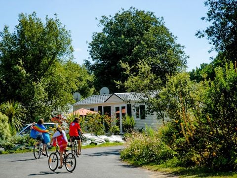 Camping île Blanche - Ile de Ré - Camping Charente-Maritime - Image N°5