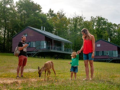 Goélia Le Domaine des Nouailles - Camping Dordoña - Image N°4