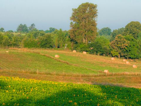 Résidence Goélia Les Maisons du Golf d'Armagnac - Camping Gers - Image N°8