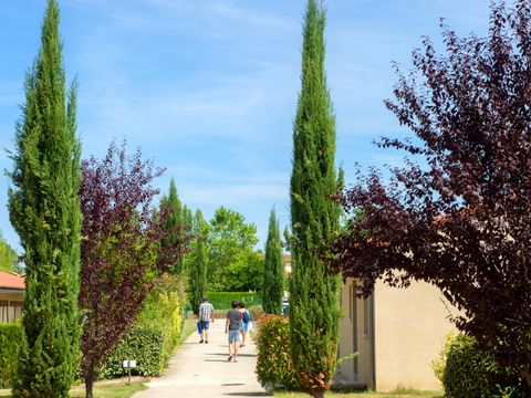 Résidence Goélia Le Hameau de la Vézère - Camping Dordogne - Image N°13