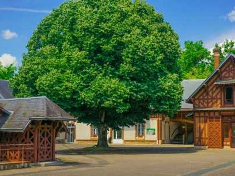 VVF Nature Parc Sologne Berry-Domaine de la Grande Garenne - Camping Cher - Image N°9