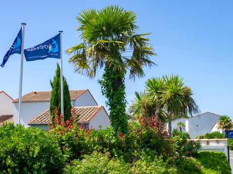 Résidence Goélia La Palmeraie - Camping Charente-Maritime - Image N°16