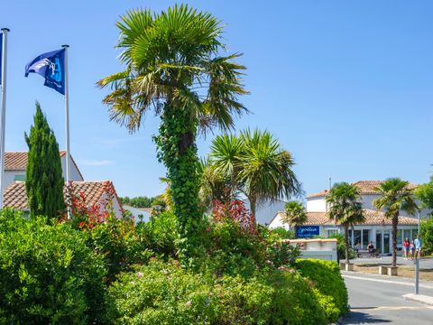 Résidence Goélia La Palmeraie - Camping Charente-Maritime - Image N°17