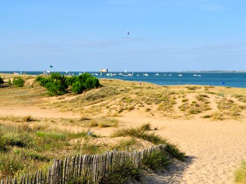 Résidence Goélia La Palmeraie - Camping Charente-Maritime - Image N°11