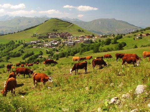Résidence Goélia Le Relais des Pistes - Camping Savoie - Image N°2