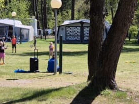 Siblu de Tol - Camping Nunspeet - Image N°7