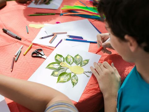 Camping Les Goélands - Camping Seine-Maritime - Image N°7