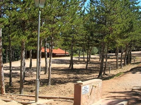 Camping Las Cabanas - Camping Teruel - Afbeelding N°5