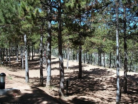 Camping Las Cabanas - Camping Teruel - Afbeelding N°4