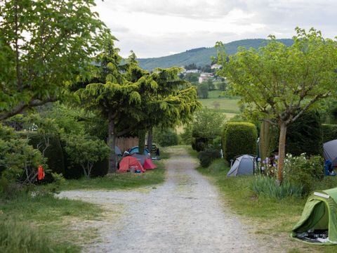 Camping le Cottet Saint-Appolinard - Camping Loire - Image N°20