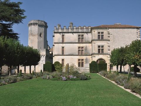 Camping Domaine de Corneuil - Camping Dordogne - Image N°10