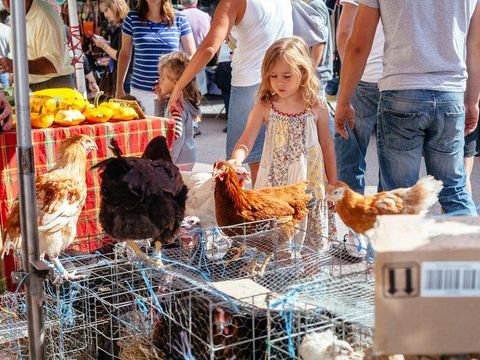 Camping Domaine de Corneuil - Camping Dordogne - Image N°19
