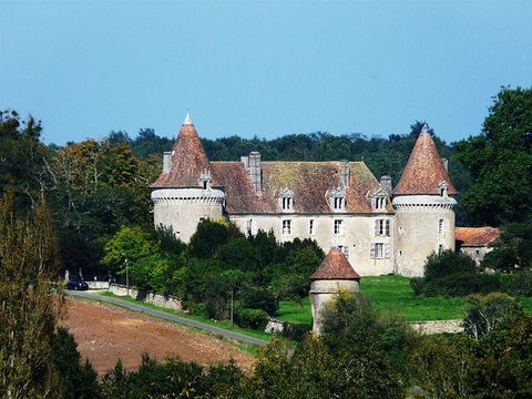 Camping Domaine de Corneuil - Camping Dordogne - Image N°12